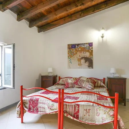 Pet Friendly In Ne Ne