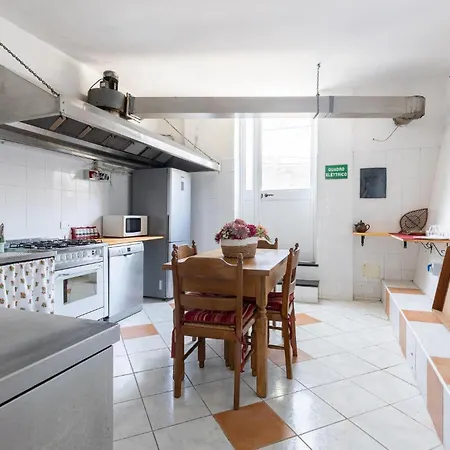 Pet Friendly In Ne *