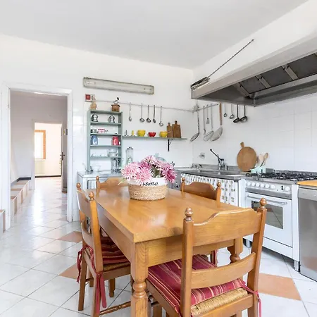 Pet Friendly In Ne * Ne