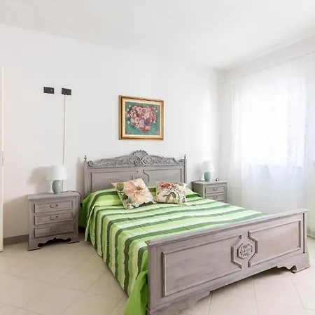 Pet Friendly In Ne * Ne