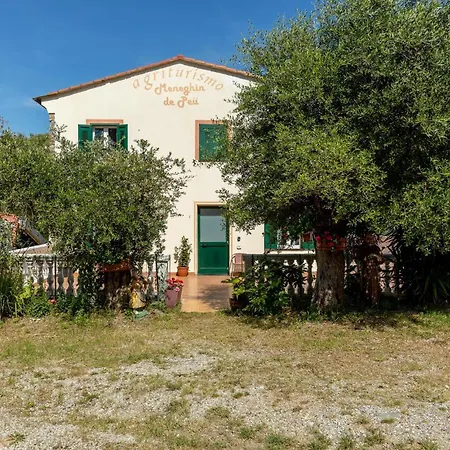 Vakantiehuis Pet Friendly In Ne Ne