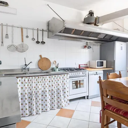 Vakantiehuis Pet Friendly In Ne