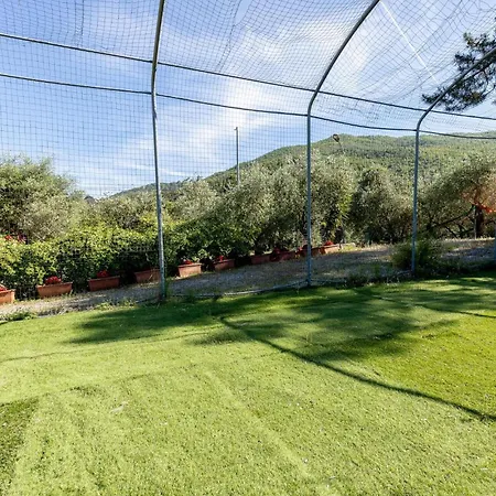 Pet Friendly In Ne * Ne