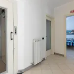 Pet Friendly In Ne