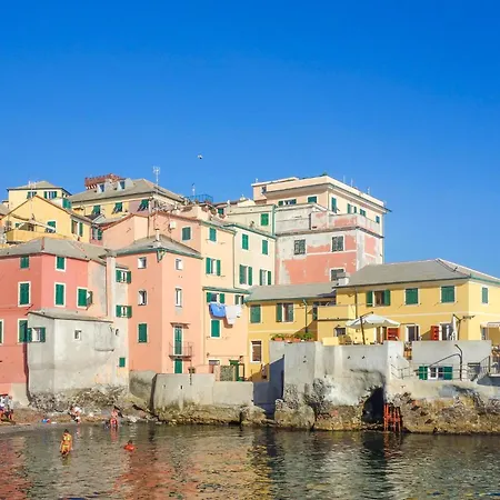 Pet Friendly In Ne * Ne