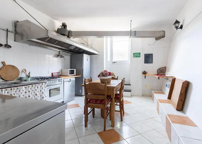 Pet Friendly In Ne *