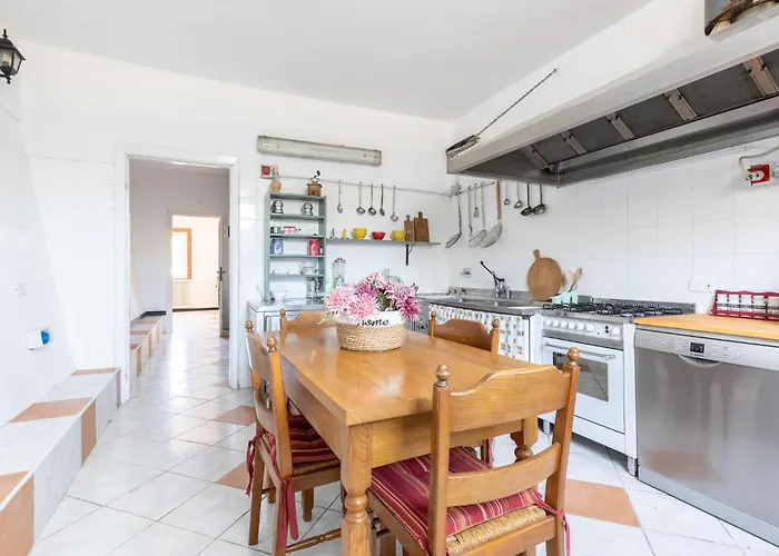 Pet Friendly In Ne * Ne