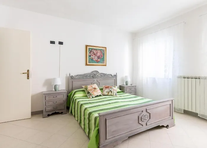 Pet Friendly In Ne * Ne