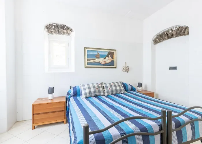 Pet Friendly In Ne * Ne