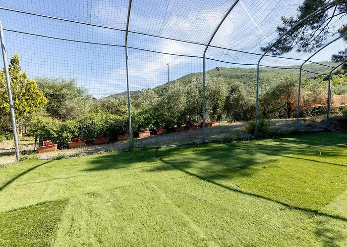 Pet Friendly In Ne * Ne